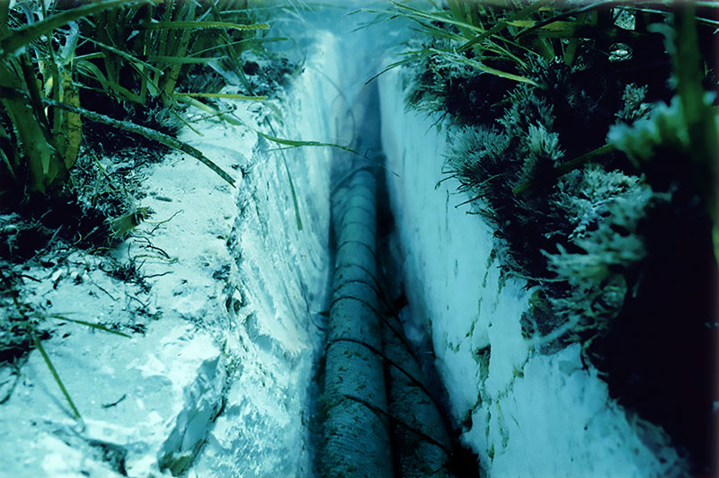 Blog Featured Image